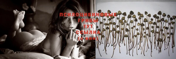хмурый Белокуриха