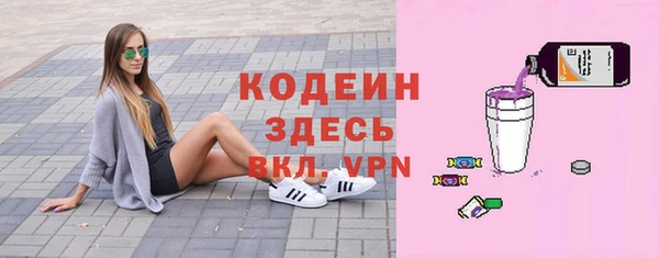 хмурый Белокуриха