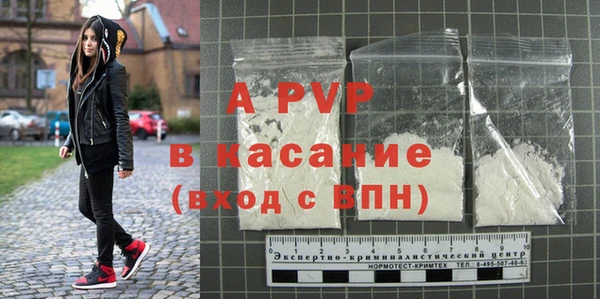 хмурый Белокуриха