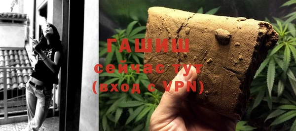 хмурый Белокуриха
