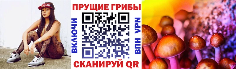 даркнет формула  Богородск  Псилоцибиновые грибы мицелий  продажа наркотиков 